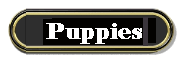 puppies.gif (3497 bytes)